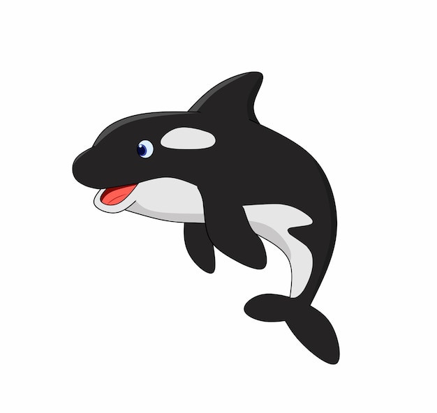 Dibujos animados de orca aislado sobre fondo blanco