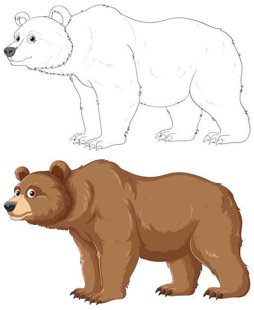 Dibujos animados de oso grizzly