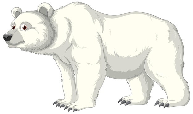 dibujos animados de oso polar