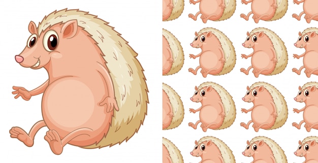 Dibujos animados de patrón erizo transparente y aislado