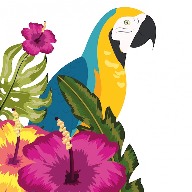 Dibujos animados de patrón floral transparente