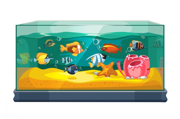 Dibujos animados de peces de agua dulce en acuario de tanque | Vector Premium Dibujos animados de peces de agua dulce en acuario de tanque | Vector Premium