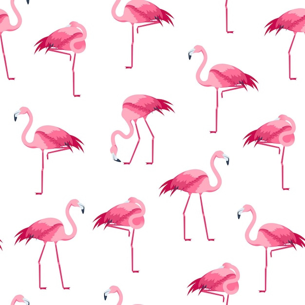 Dibujos animados Pink Flamingo Bird Seamless Pattern Background en un Tropical Wild Beautiful Exotic Symbol Flat Design Style Vector illustration