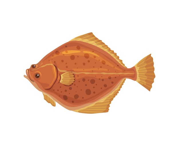 Dibujos animados de platija, pescado, mariscos, cocina o mariscos