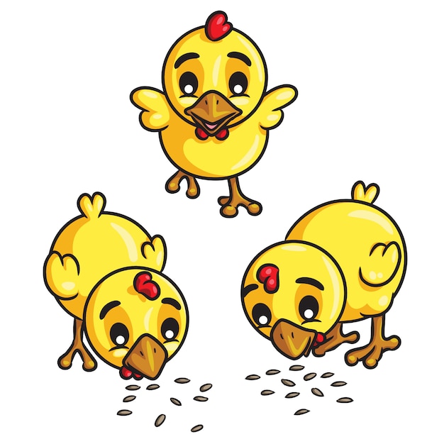 Dibujos animados de pollos comen semillas