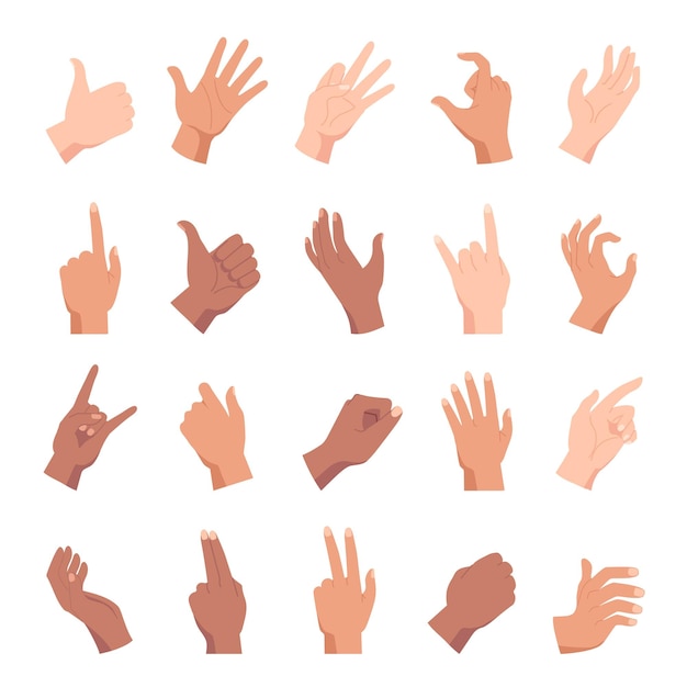 Dibujos animados poses de mano sosteniendo señalar y como gesto Diversas personas manos puños y posiciones de palma y signos Conjunto de vectores de conteo de brazos de mujer