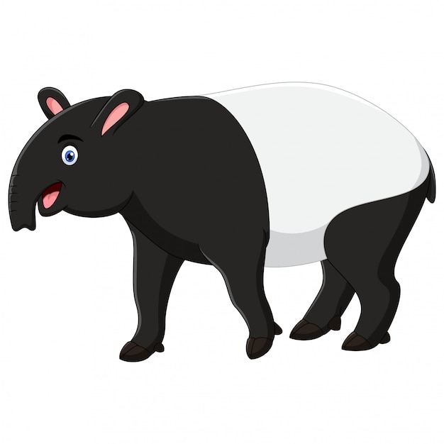 Vector dibujos animados de tapir feliz aislado