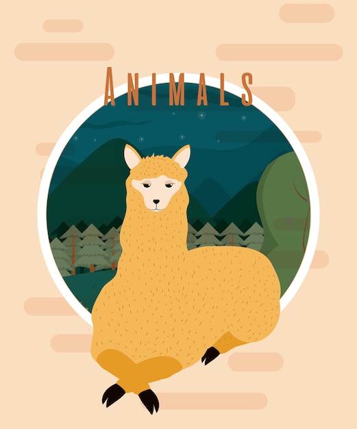 Dibujos animados de tarjeta colorida animal lindo de llama