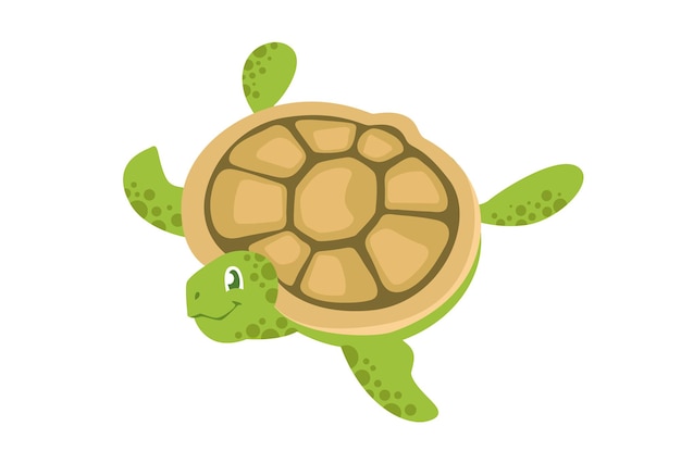 Dibujos animados de tortuga