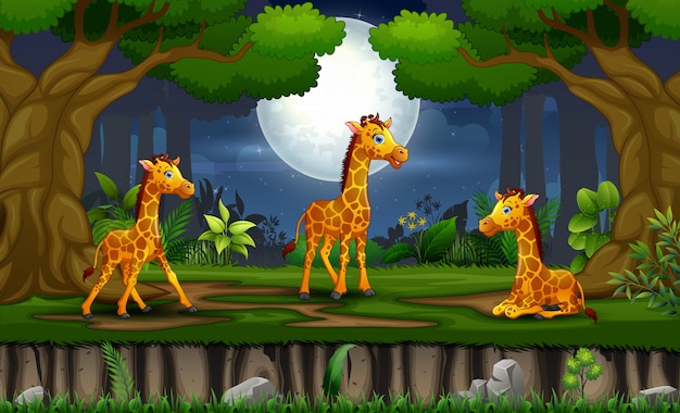 Dibujos animados de tres jirafas disfrutando en el paisaje nocturno