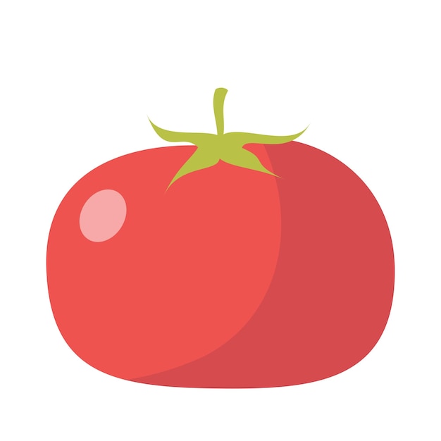 Dibujos animados vector ilustración objeto aislado fruta fresca tomate