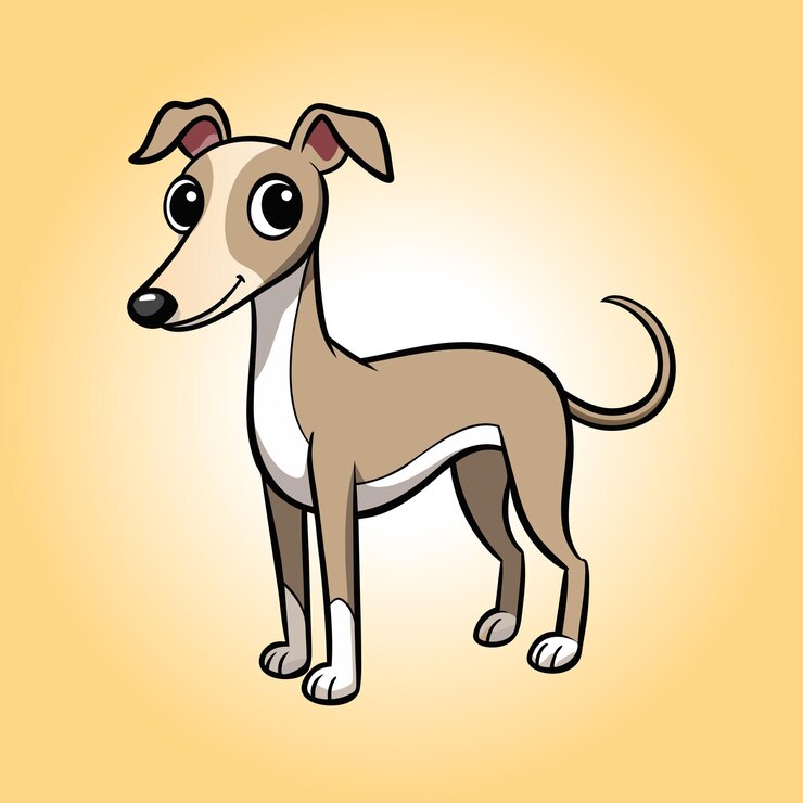 Vector dibujos animados de whippet de pie