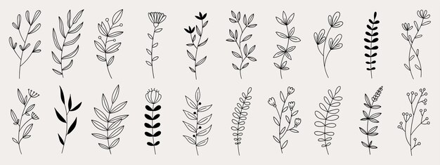Dibujos de flores dibujados a mano Esbozo dibujado a mano de una planta de flores de primavera Flor simple vectorial