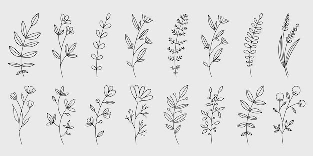 Dibujos de flores dibujados a mano Esbozo dibujado a mano de una planta de flores de primavera Flor simple vectorial