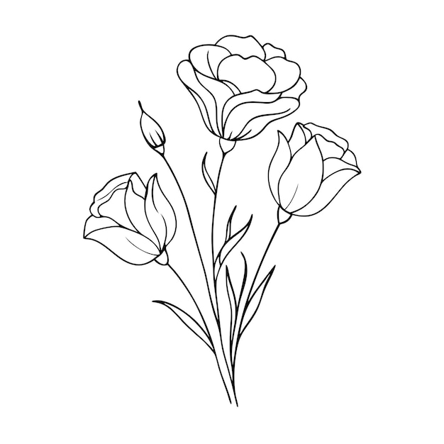 Dibujos de flores de Eustoma en blanco y negro con arte de líneas Ilustración botánica dibujada a mano 19