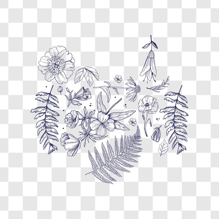 Vector dibujos de flores y hojas de árboles en un fondo transparente