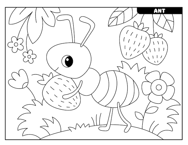 Dibujos de insectos para colorear para niños