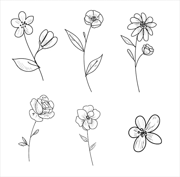 Dibujos a lapiz de flores a mano | Vector Premium