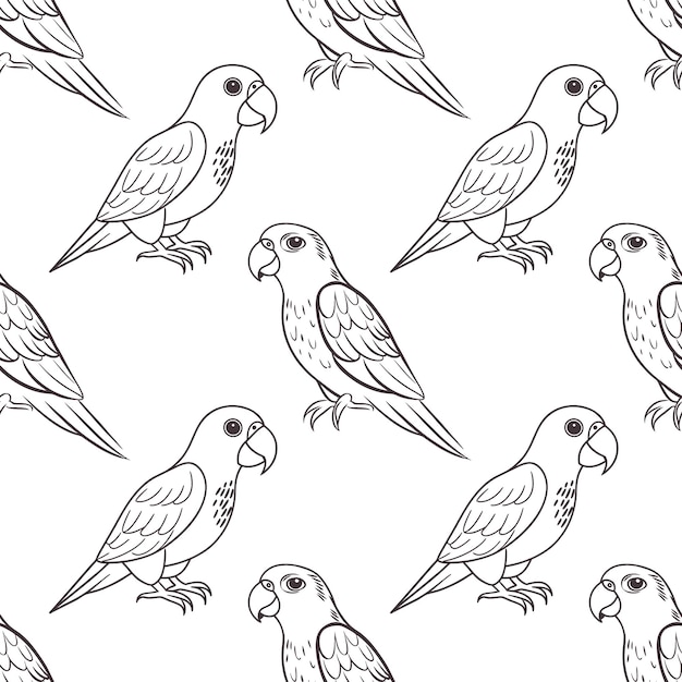 Dibujos lineales sin costuras de loros tropicales sobre un fondo blanco