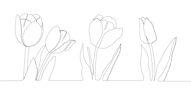 Dibujos de líneas continuas de flores de tulipán Arte de una línea Ilustración vectorial