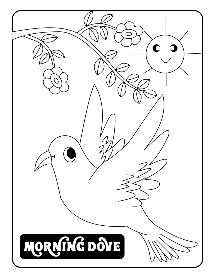 Vector dibujos de pájaros para colorear con lindos diseños páginas listas para imprimir