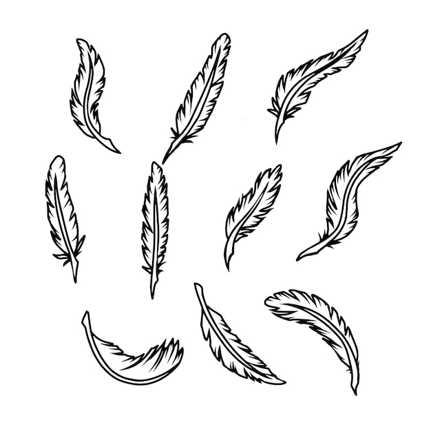 Dibujos en pluma en blanco y negro