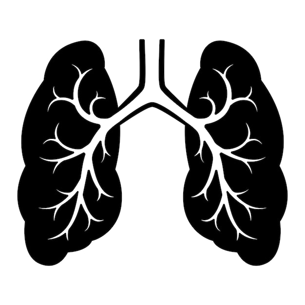 Dibujos de los pulmones y la tráquea