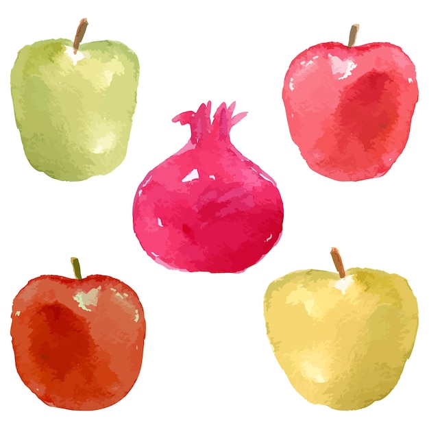 Vector dibujos vectoriales de acuarela de manzanas maduras y granadas