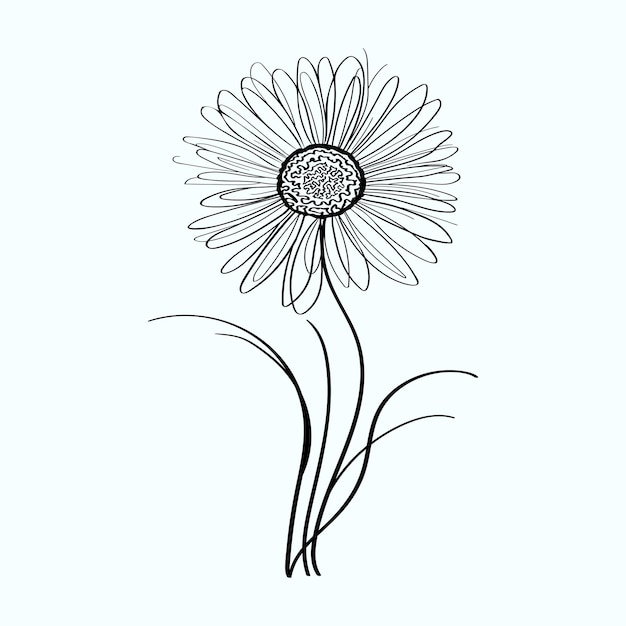 Dibujos vectoriales de la silueta de la flor de la margarita de la manzanilla