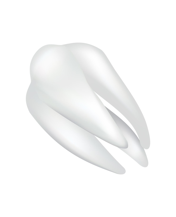 Vector diente humano blanco brillante. icono de vector médico dental. símbolo de la clínica de estomatología. protección dental, cuidado bucal o dental. restauración de dientes