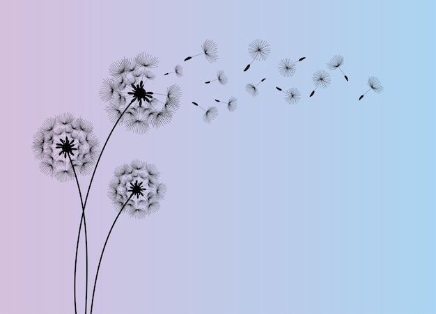 Diente de león de flor silvestre en un estilo vectorial aislado Flor vectorial para envolver la textura de fondo