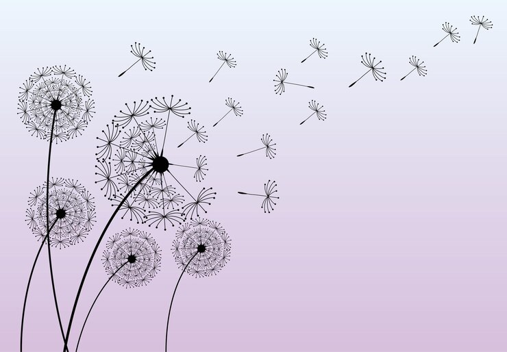 Vector diente de león de flor silvestre en un estilo vectorial aislado flor vectorial para el fondo diente de leona volando wal