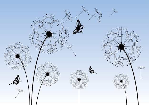 Diente de león de flores silvestres en un estilo vectorial aislado