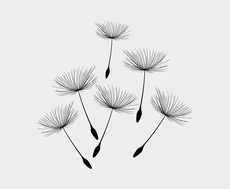 Vector diente de león de flores silvestres en un estilo vectorial aislado