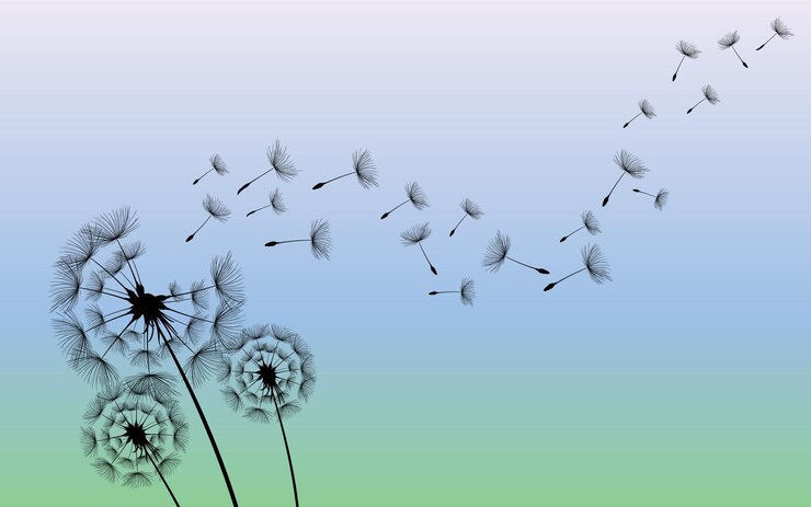 Vector diente de león de flores silvestres en un estilo vectorial aislado