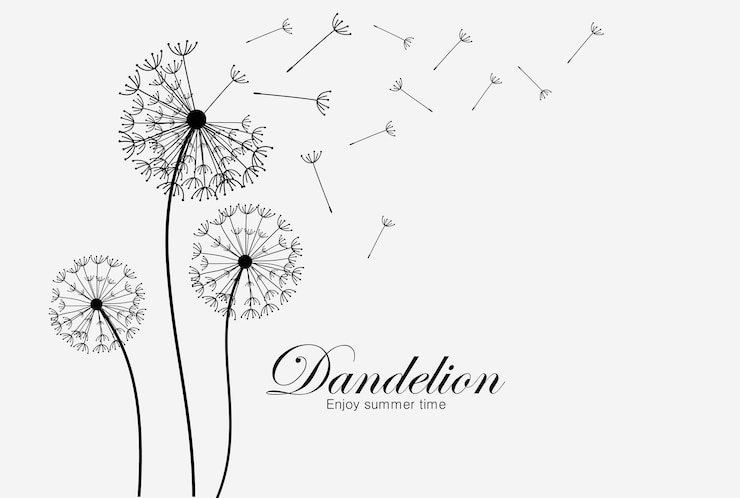 Vector diente de león de flores silvestres en un estilo vectorial aislado