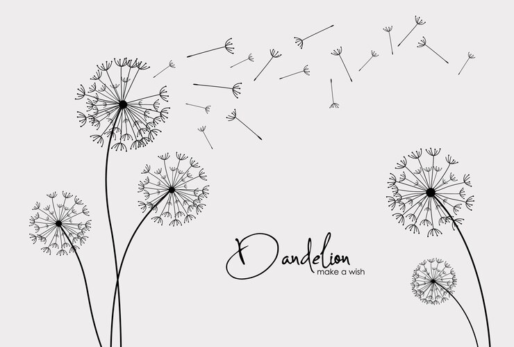 Vector diente de león de flores silvestres en un estilo vectorial aislado
