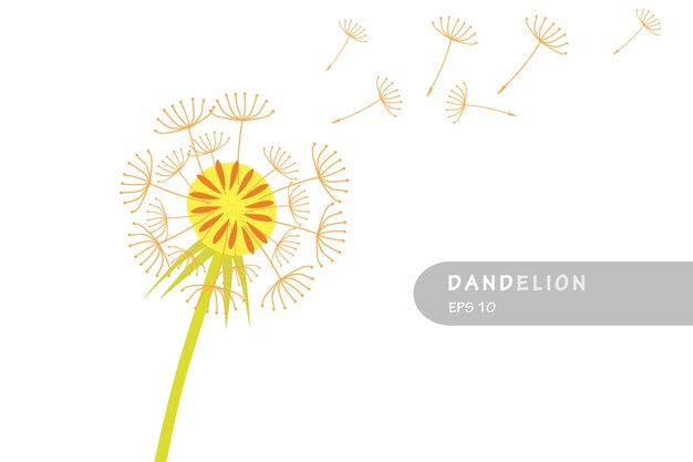 diente de león con semillas voladoras diente de león diseño vector plano ilustración aislada
