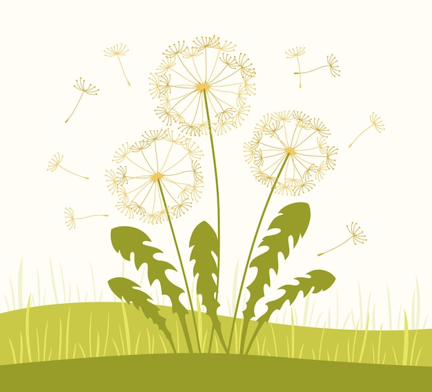Diente de león semillas voladoras pradera verano ilustración flor abstracta planta botánica naturaleza tarjeta diseño