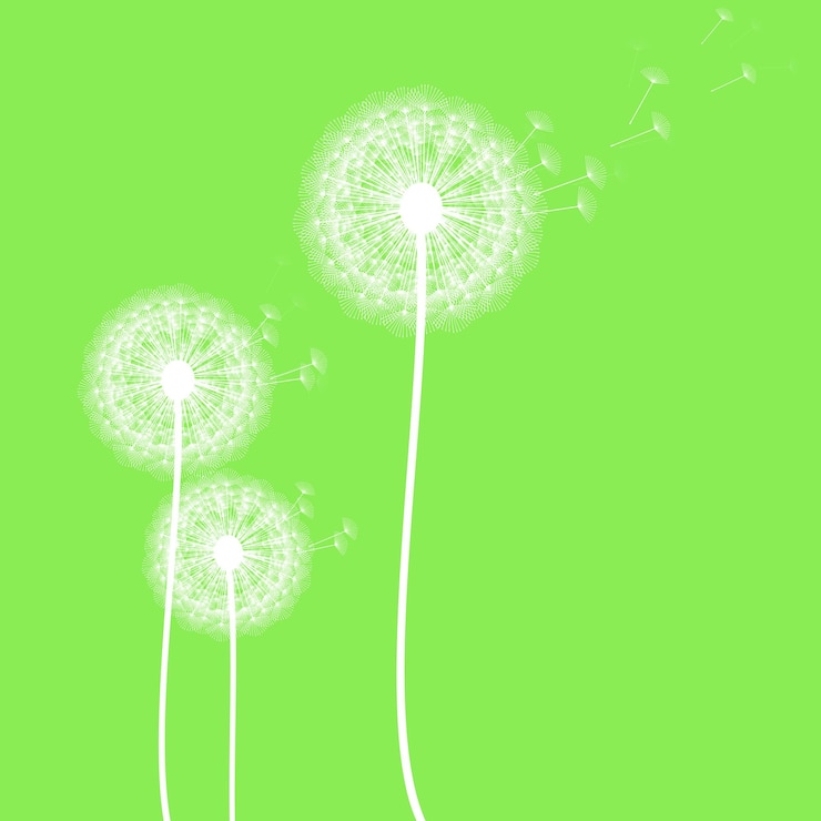 Vector diente de león sobre un fondo verde