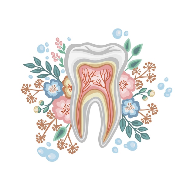 Diente sano flora dental del vector de color de la boca