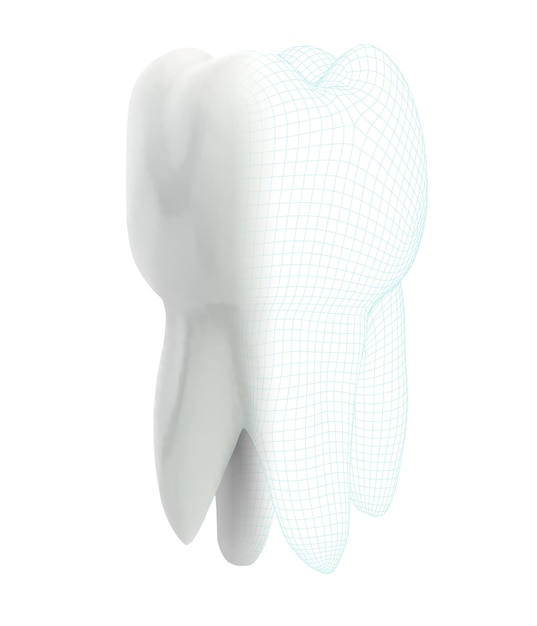 Diente vectorial 3d para la impresión de malla poligonal de volumen de medicina dental en una impresora 3D aislada en un fondo blanco