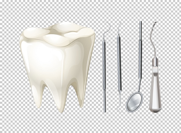 Vector dientes y equipos dentales.