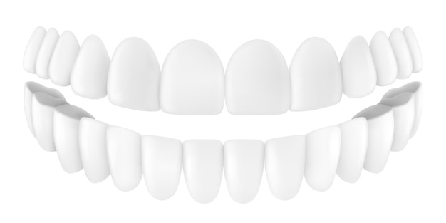 Dientes humanos para medicina y pasta de dientes Concepto aislado en fondo blanco Dentura blanca