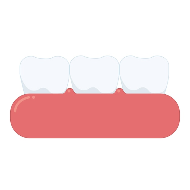 Dientes molares libres del vector 3