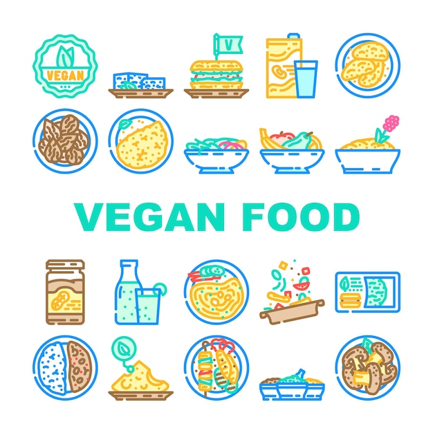 la dieta vegana los íconos orgánicos establecen el vector