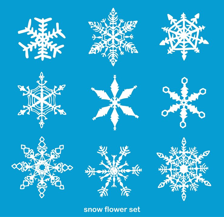 Diferente conjunto de Snowflakes vector de diseño de Navidad