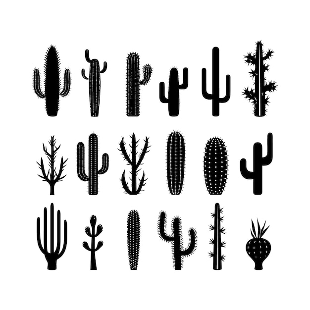 Diferente paquete de cactus color negro sólo vector