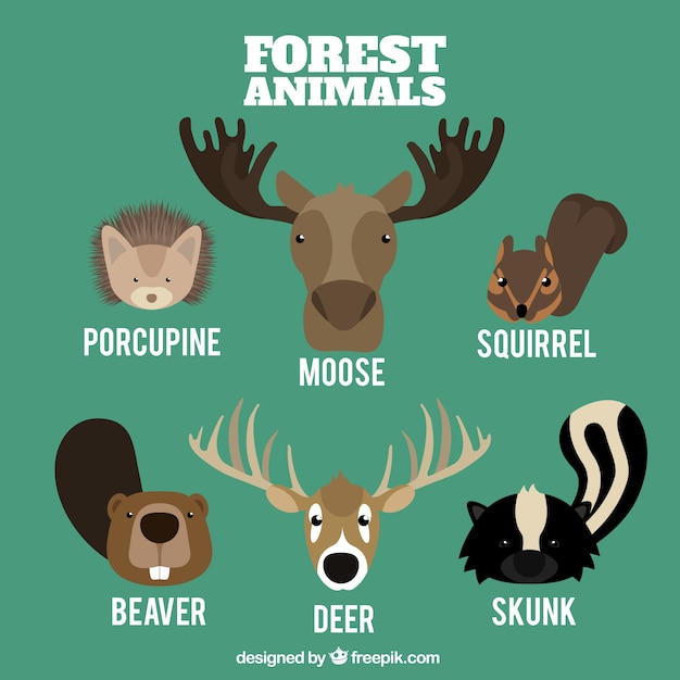 Diferentes animales del bosque en estilo plano