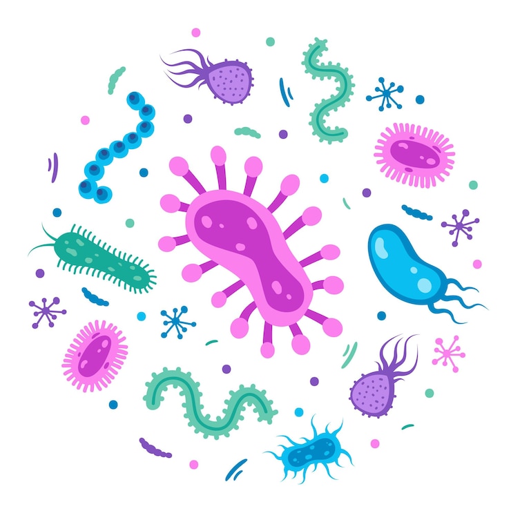 Vector diferentes bacterias microorganismos patógenos en un círculo bacterias y gérmenes microorganismos